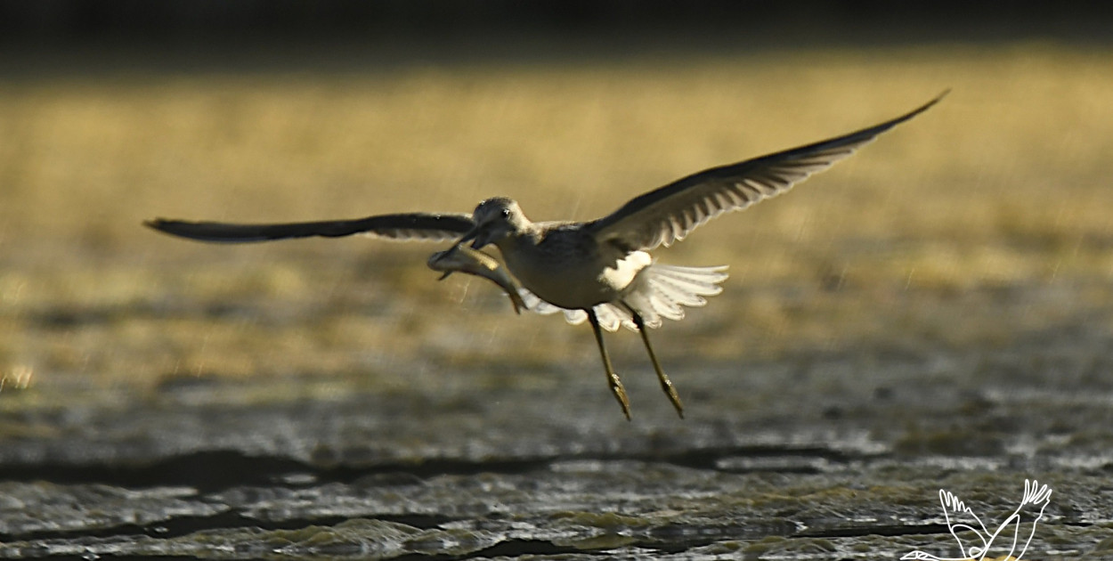 Fot. Przemysław Stefański