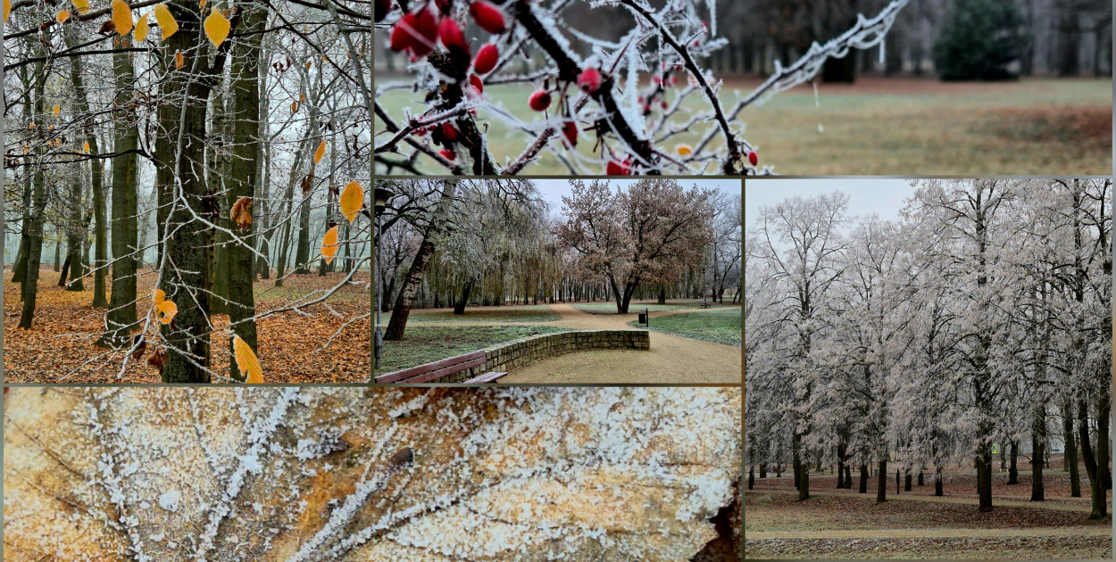 rolKI24.INFO | W Inowrocławiu solidnie przymroziło!