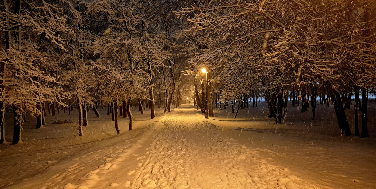 rolKI24.INFO | Śnieg w końcu nas rozpieścił! ⛄️❄️