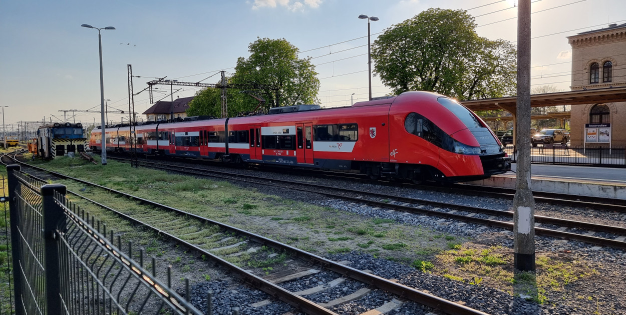 Z sylwestra z Polsatem z Torunia wrócisz pociągiem