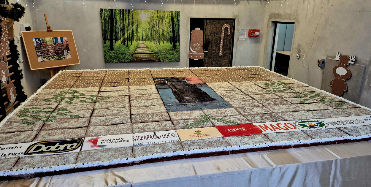 AS pobił rekord? Gigantyczna mozaika z piernika już ułożona!