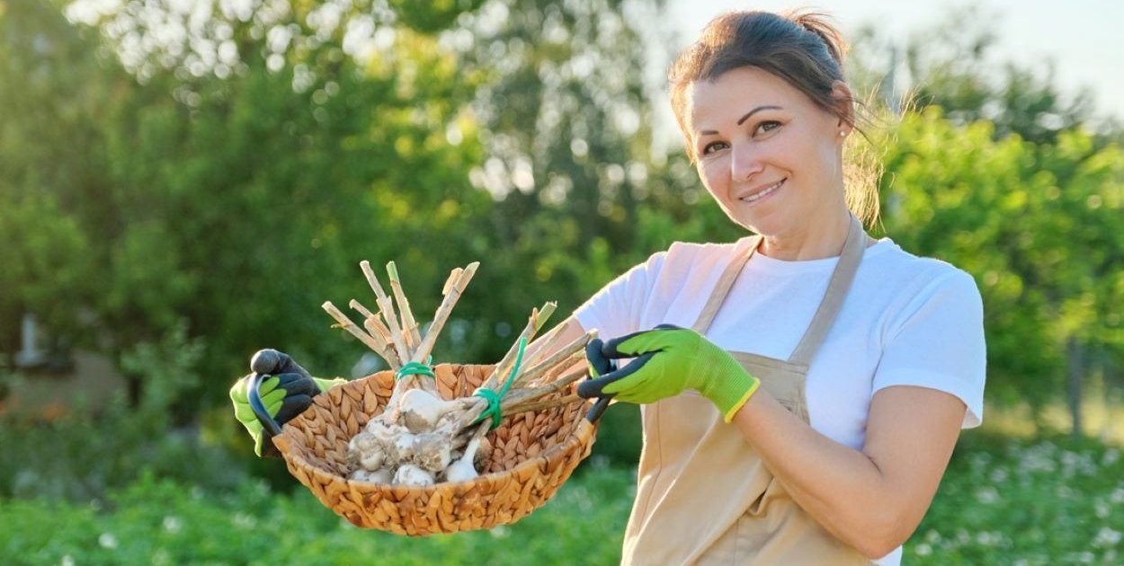 Lubisz pracę z roślinami? Zamień pasję w zawód dzięki Ramus