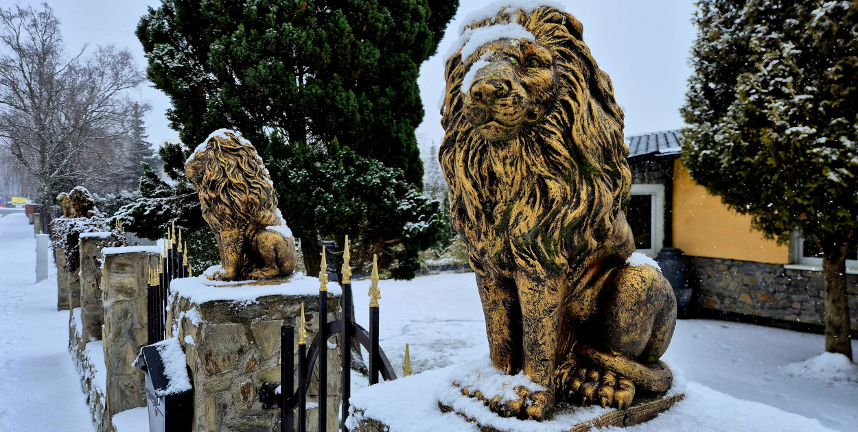 rolKI24.INFO | Znowu posypało ❄️☃️