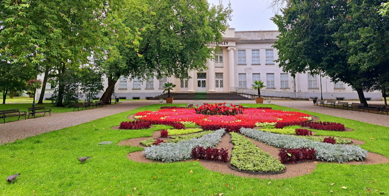 Wiosenne bratki znów ozdobią Inowrocław i Park Solankowy