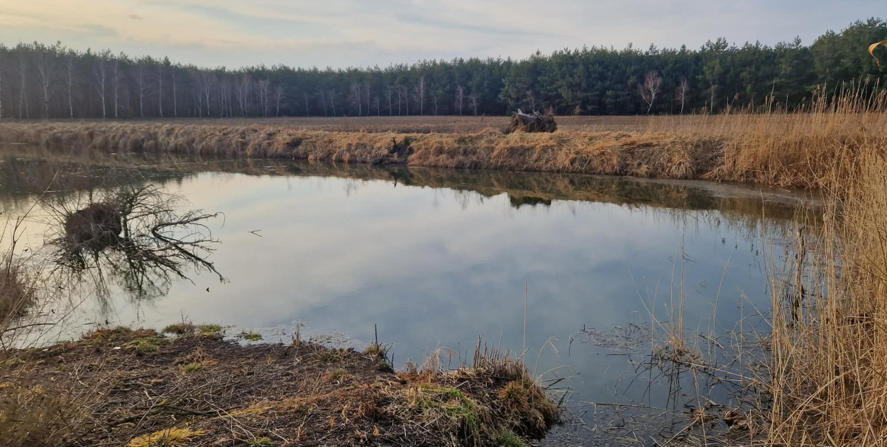 Otwarte zastawki na Kanale Bachorze. „To przyspiesza stepowienie Kujaw”