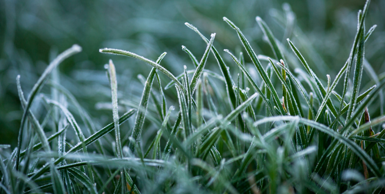 Uwaga na nocne przymrozki w Inowrocławiu