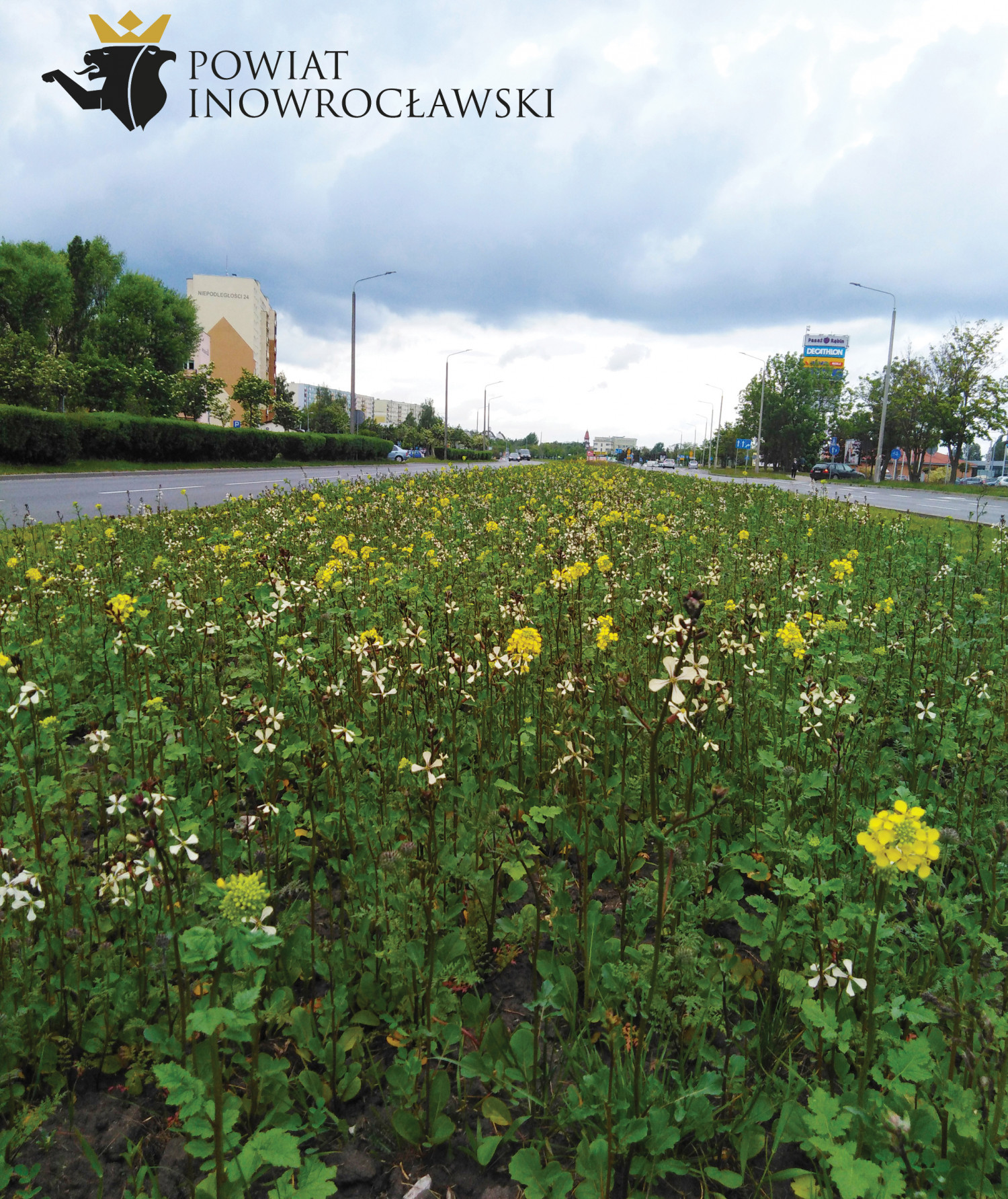 fot. Powiat Inowrocławski