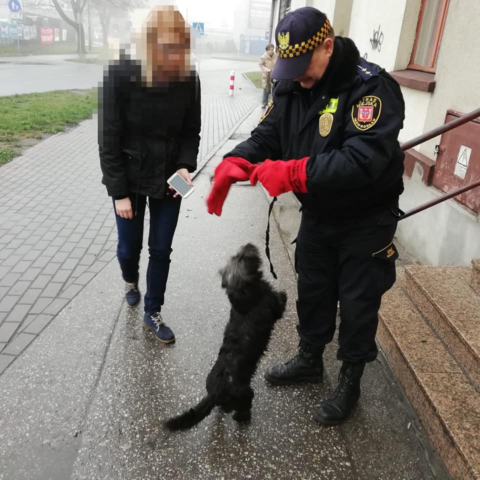 fot. Straż Miejska Inowrocław