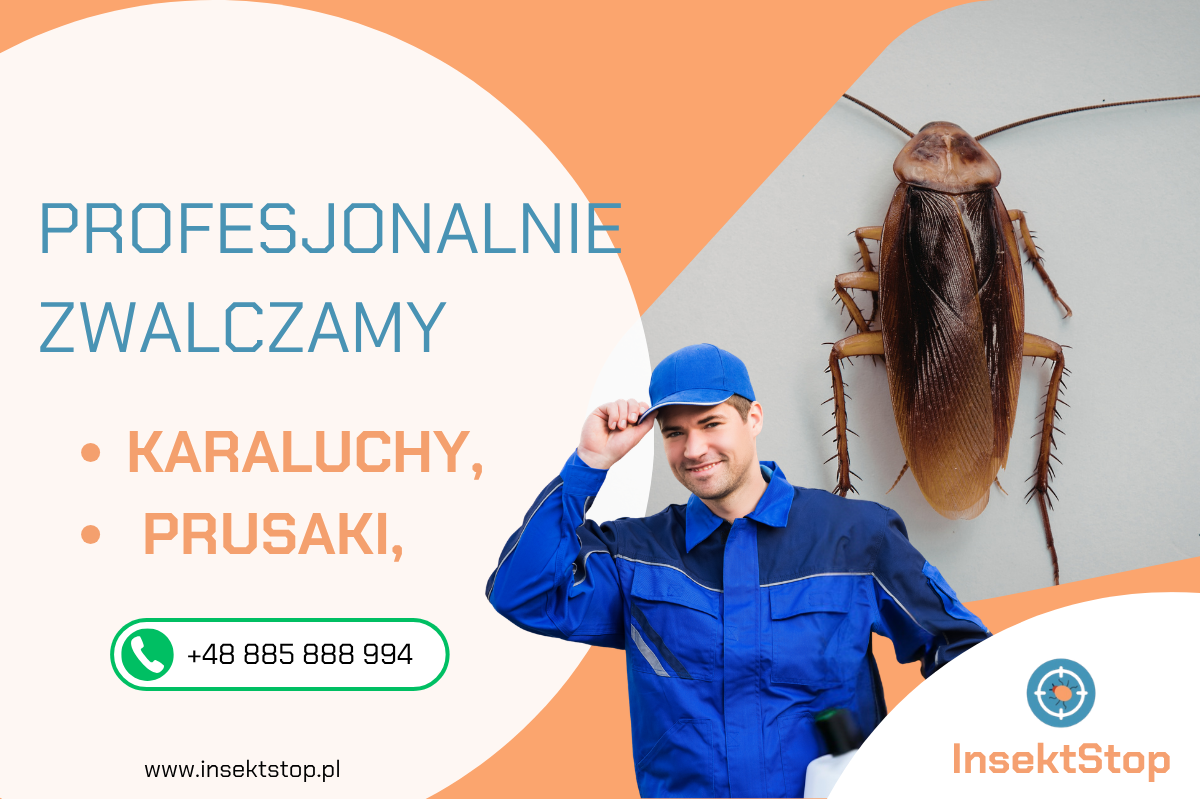 zwalczanie karaluchów InsektStop