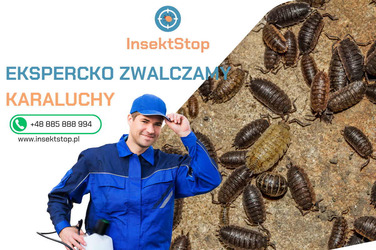 zwalczanie prusaków InsektStop