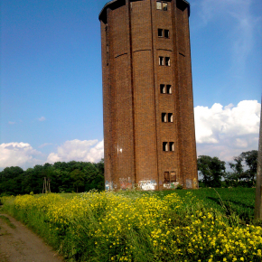Lesiu12345